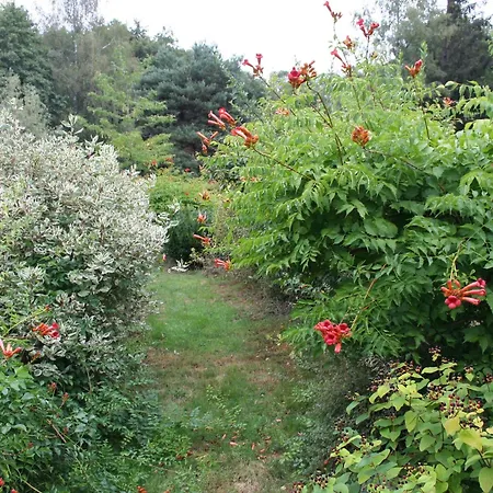 Printaniere Avec Parc Et Activites En Nature - Fr-1-589-722 *