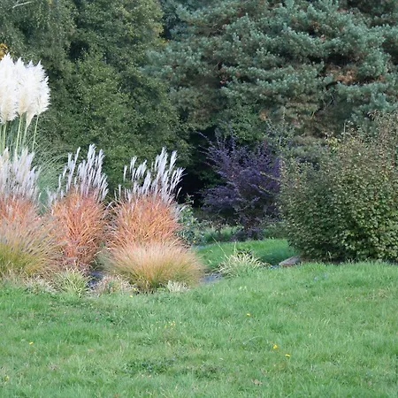 Printaniere Avec Parc Et Activites En Nature - Fr-1-589-722 * Le Clerjus