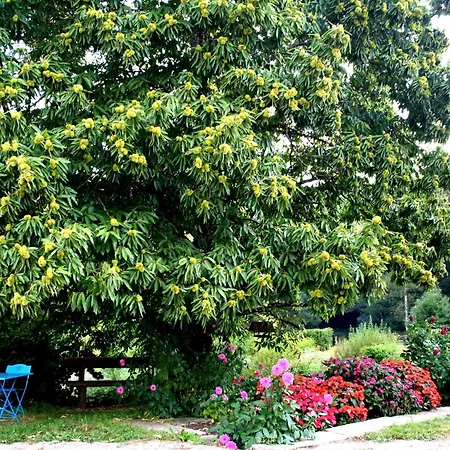Printaniere Avec Parc Et Activites En Nature - Fr-1-589-722 * Le Clerjus